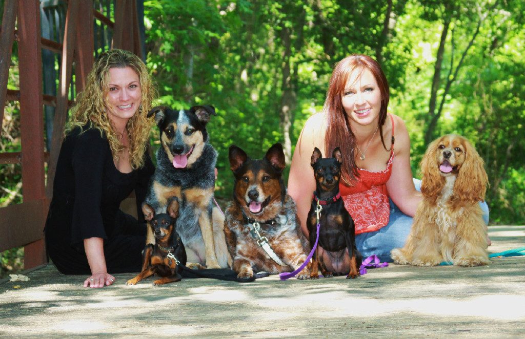 Fido's Finest Dog Training | Certified Professional Dog Trainers Fido's Finest Dog Training | Certified Professional Dog Trainers
